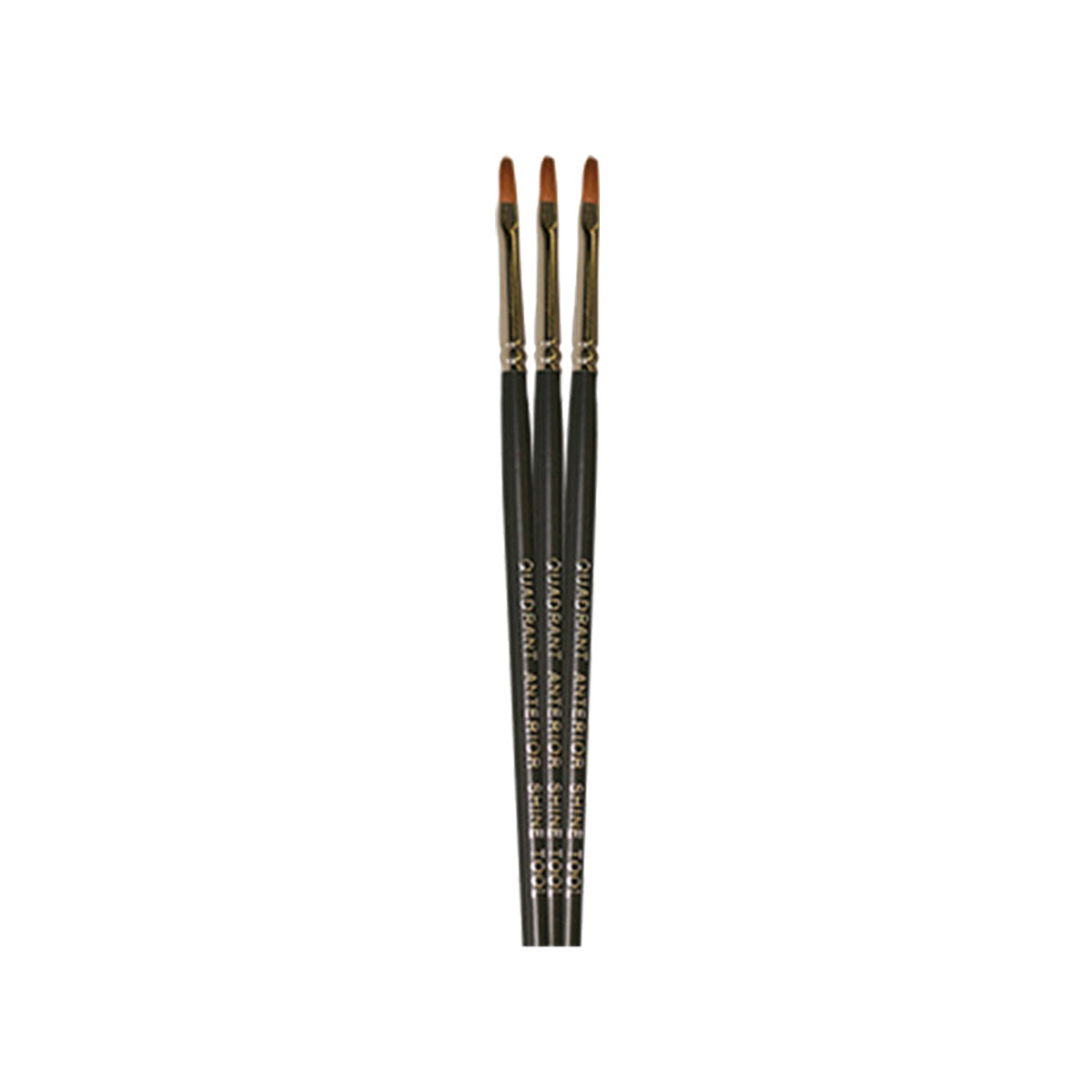 Cavex Quadrant Quast